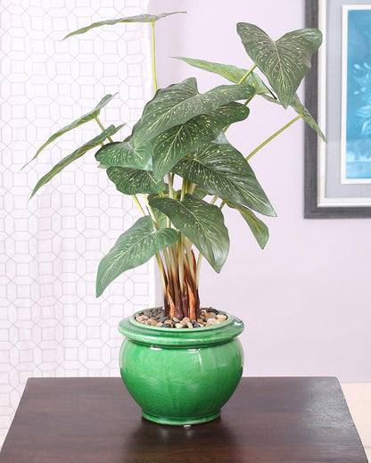 Caladium Artificial Bonsai Plant with Ceramic Pot | 23 inches