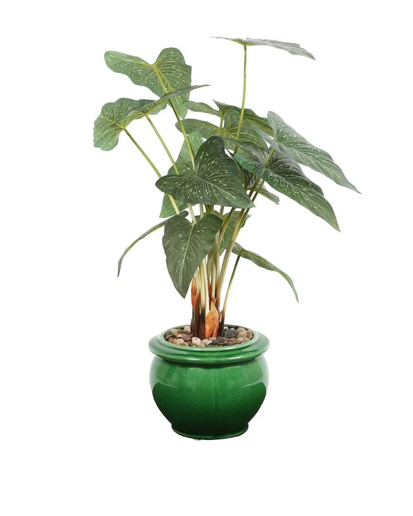 Caladium Artificial Bonsai Plant with Ceramic Pot | 2 feet