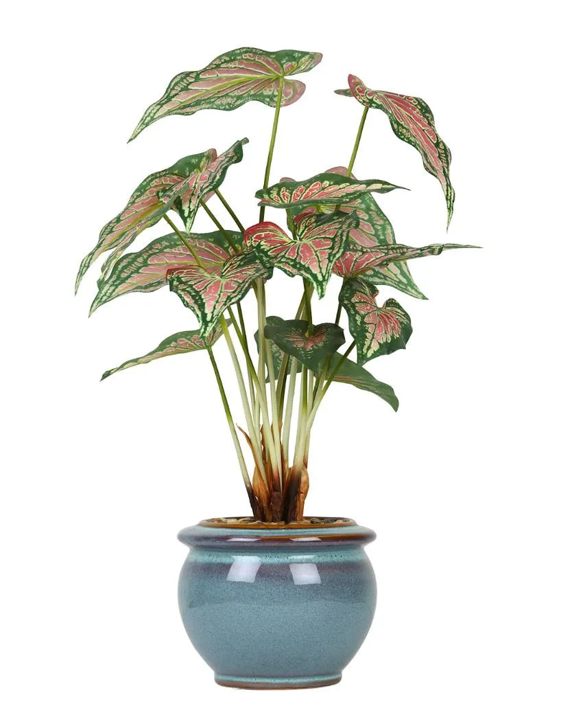 Caladium Artificial Bonsai Plant with Ceramic Pot | 23 inches