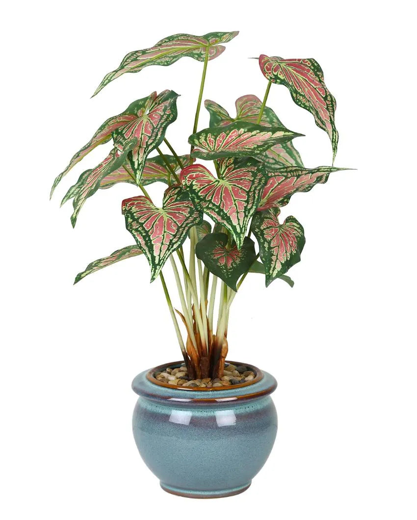 Caladium Artificial Bonsai Plant with Ceramic Pot | 23 inches