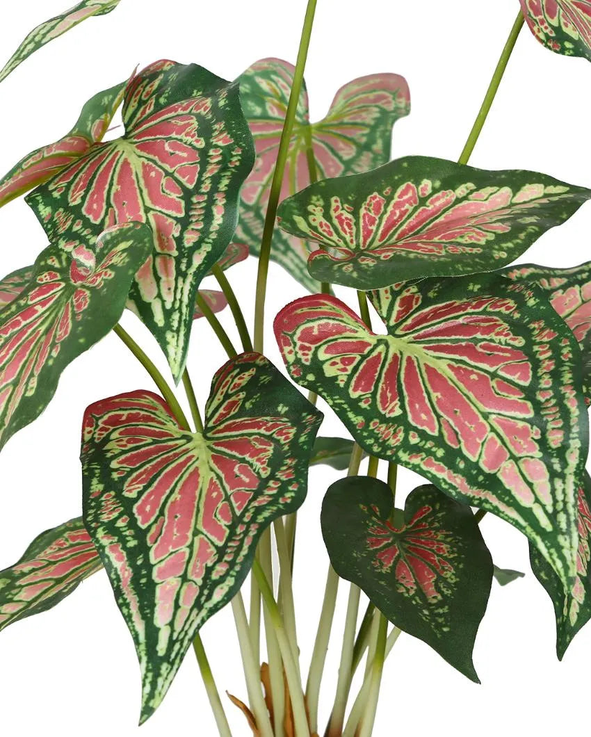 Caladium Artificial Bonsai Plant with Ceramic Pot | 23 inches