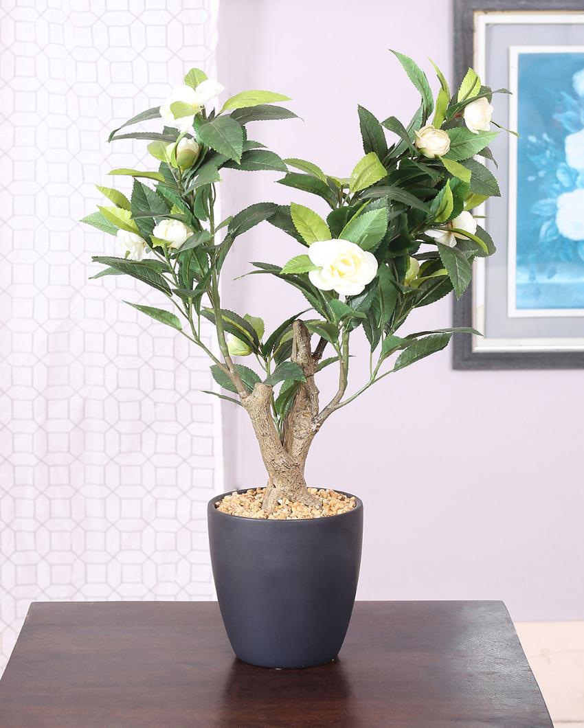 Camelia Artificial Bonsai Plant with Ceramic Pot | 2 feet