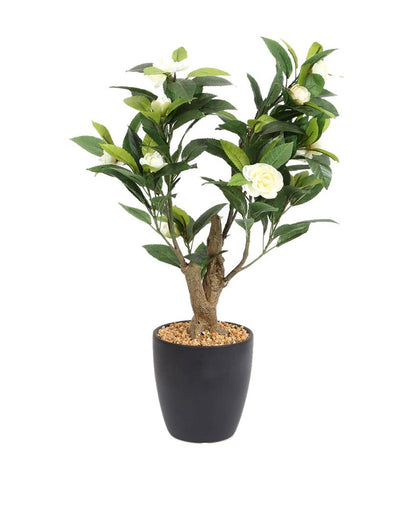 Camelia Artificial Bonsai Plant with Ceramic Pot | 2 feet