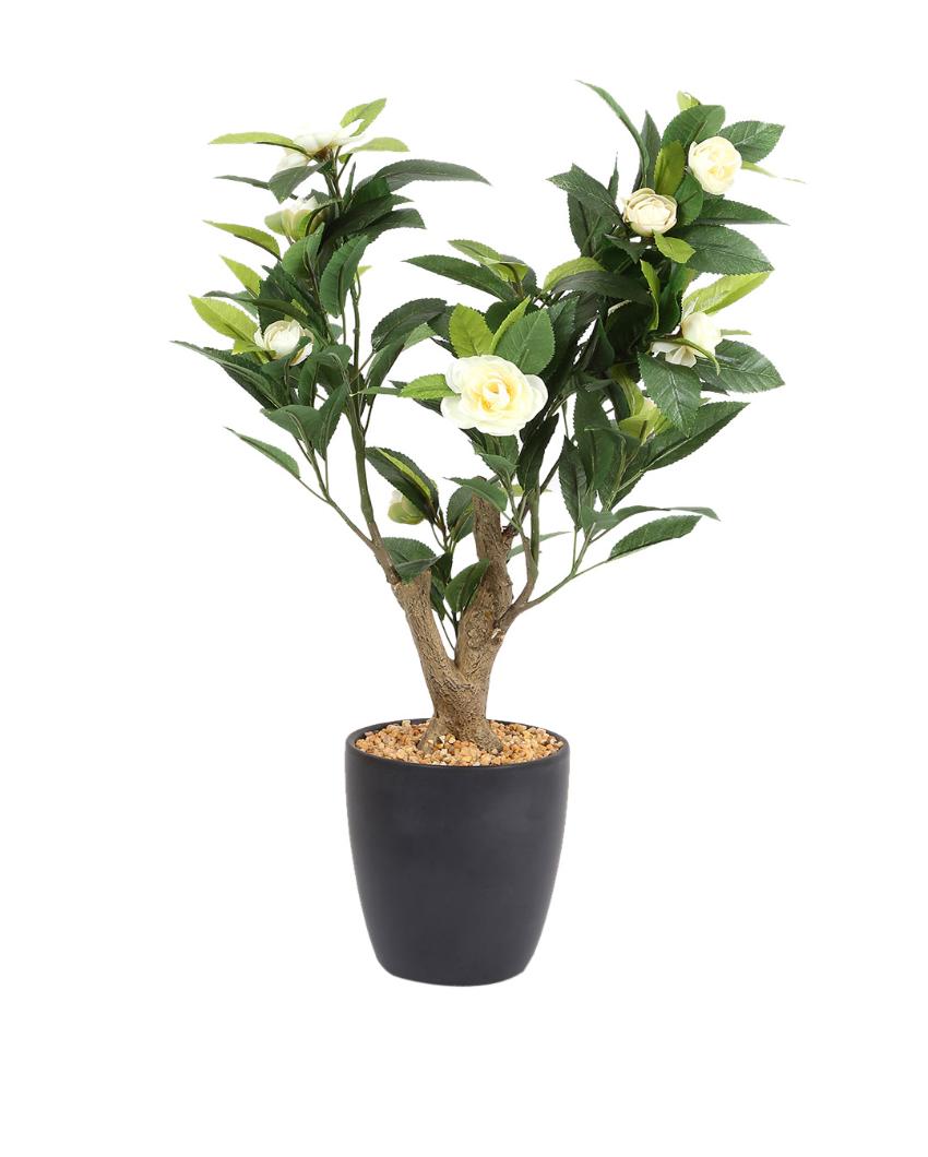 Camelia Artificial Bonsai Plant with Ceramic Pot | 2 feet