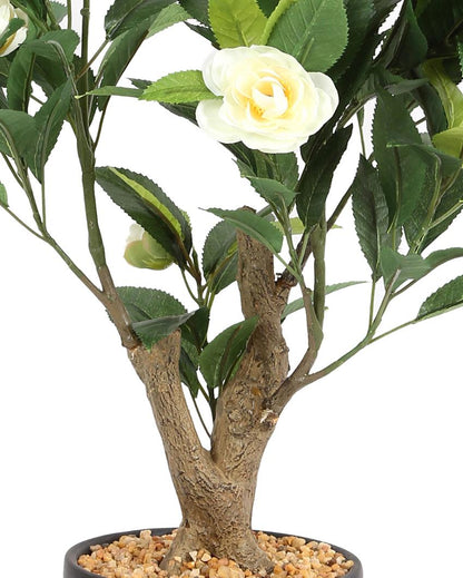 Camelia Artificial Bonsai Plant with Ceramic Pot | 2 feet