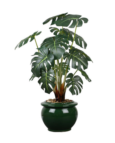 Philodendron Green Artificial Bonsai Plant with Ceramic Pot | 2 feet