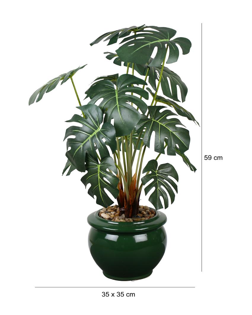 Philodendron Green Artificial Bonsai Plant with Ceramic Pot | 2 feet