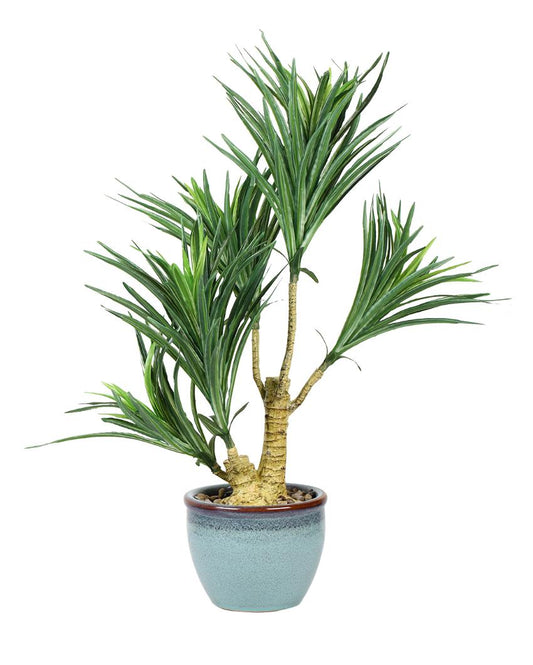 Yucca Artificial Bonsai Plant with Ceramic Pot | 24 inches