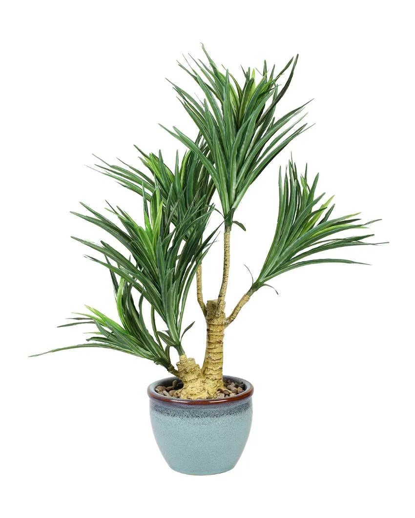 Yucca Artificial Bonsai Plant with Ceramic Pot | 2 feet