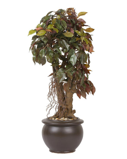 Ficus Artificial Bonsai Plant with Ceramic Pot | 24 inches