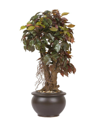 Ficus Artificial Bonsai Plant with Ceramic Pot | 2 feet