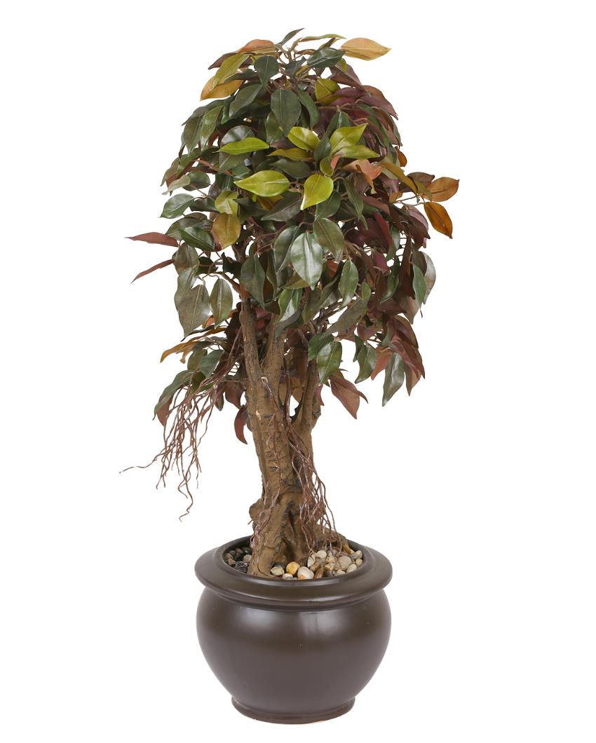 Ficus Artificial Bonsai Plant with Ceramic Pot | 2 feet