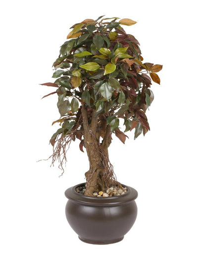 Ficus Artificial Bonsai Plant with Ceramic Pot | 2 feet