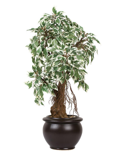 Ficus Artificial Bonsai Plant with Ceramic Pot | 2 feet