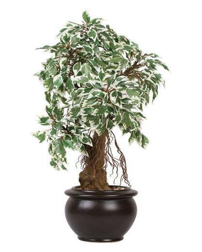 Ficus Artificial Bonsai Plant with Ceramic Pot | 24 inches