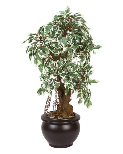 Ficus Artificial Bonsai Plant with Ceramic Pot | 2 feet