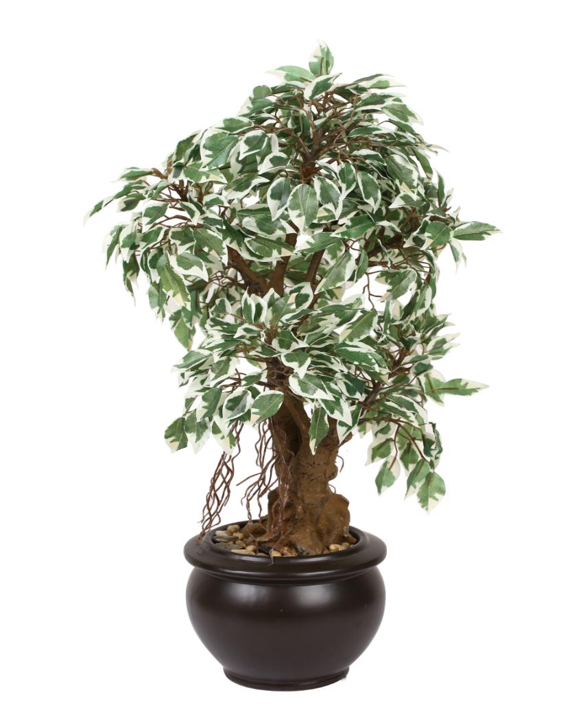 Ficus Artificial Bonsai Plant with Ceramic Pot | 24 inches