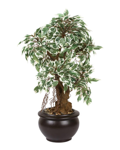 Ficus Artificial Bonsai Plant with Ceramic Pot | 2 feet