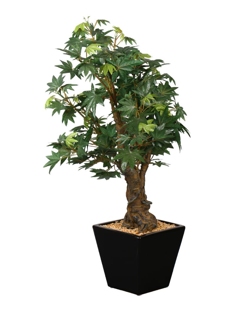 Japanese Maple Artificial Bonsai Plant with Ceramic Pot | 2 feet