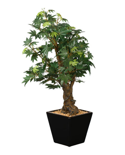 Japanese Maple Artificial Bonsai Plant with Ceramic Pot | 2 feet