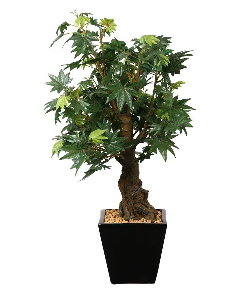 Japanese Maple Artificial Bonsai Plant with Ceramic Pot | 2 feet