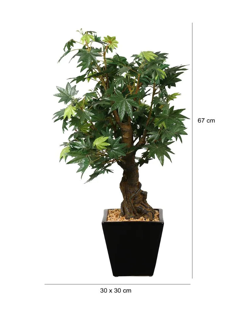 Japanese Maple Artificial Bonsai Plant with Ceramic Pot | 2 feet