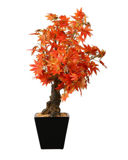 Japanese Maple Artificial Bonsai Plant with Ceramic Pot | 2 feet