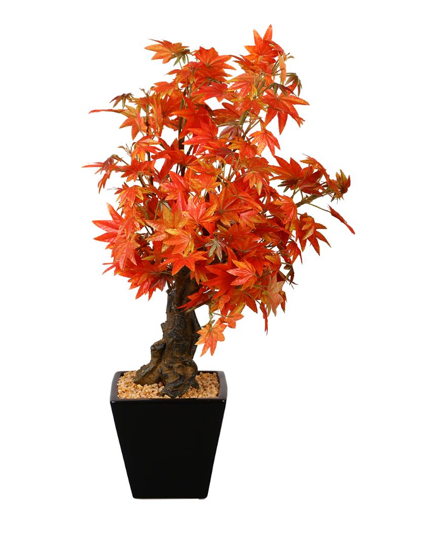 Japanese Maple Artificial Bonsai Plant with Ceramic Pot | 2 feet