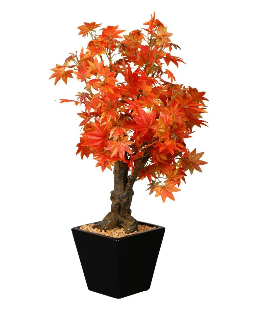 Japanese Maple Artificial Bonsai Plant with Ceramic Pot | 2 feet