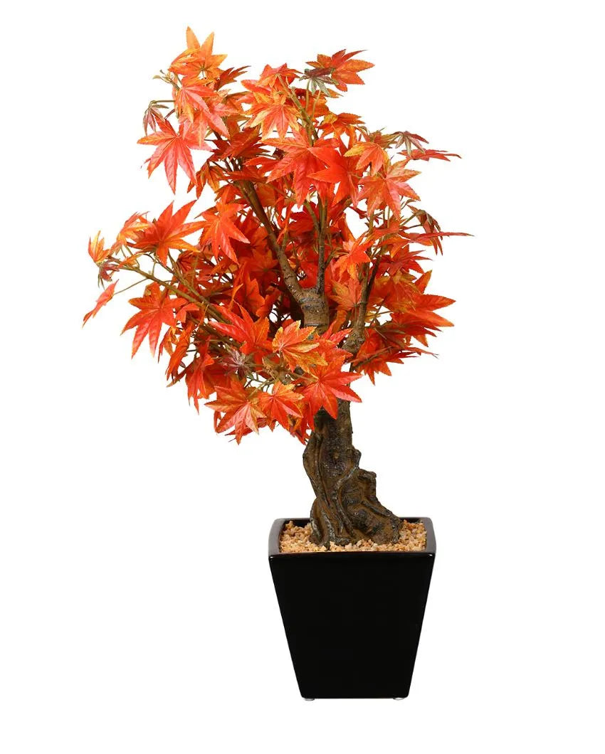 Japanese Maple Artificial Bonsai Plant with Ceramic Pot | 2 feet