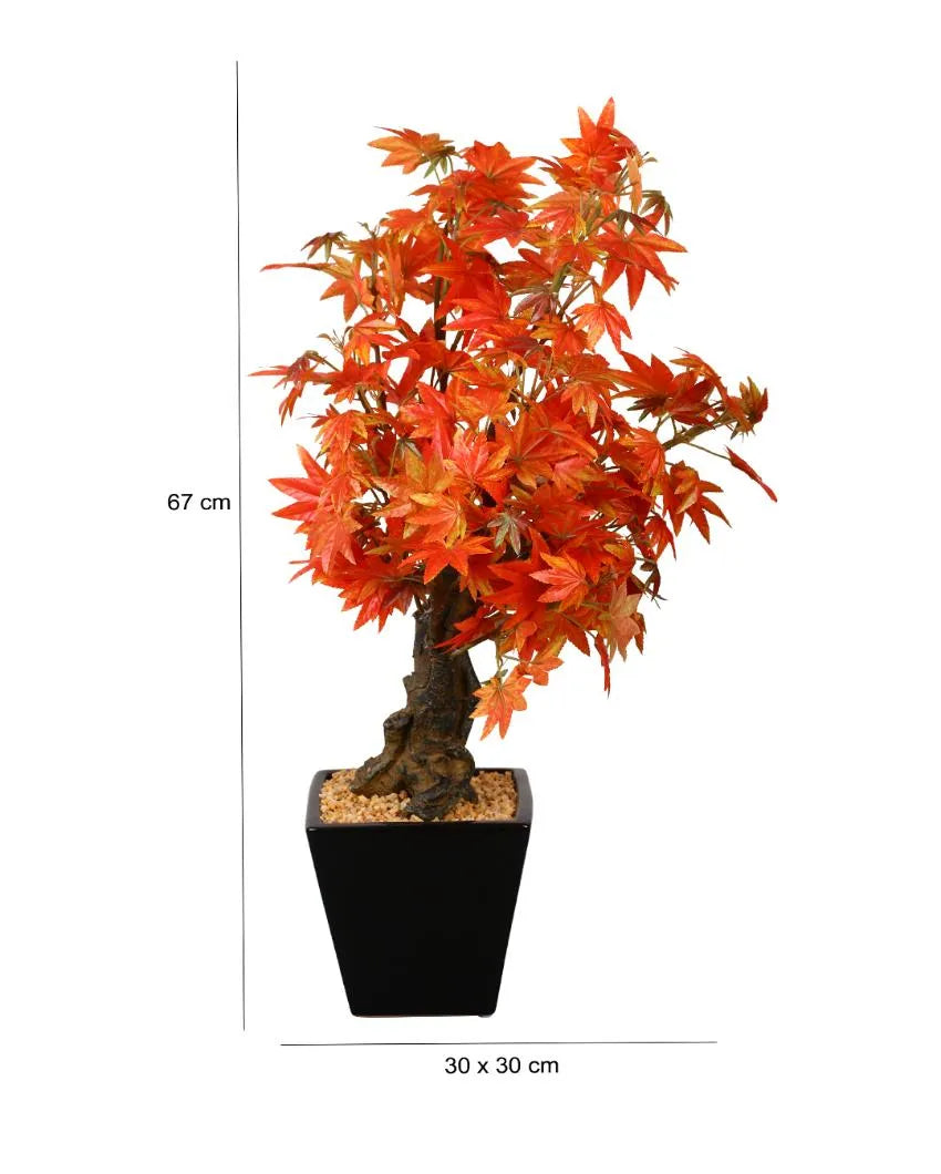 Japanese Maple Artificial Bonsai Plant with Ceramic Pot | 2 feet