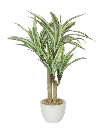 Dracaena Artificial Bonsai Plant with Ceramic Pot