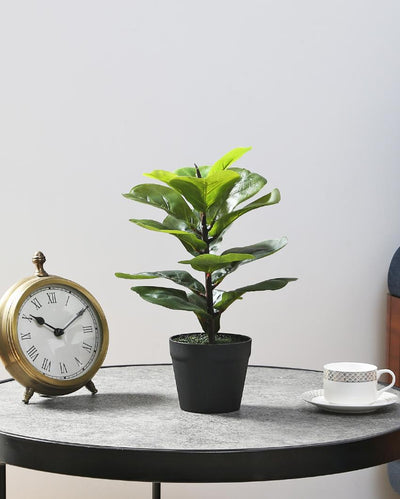 Fiddle Leaf Artificial Bonsai Plant with Plastic Pot | 1.25 feet