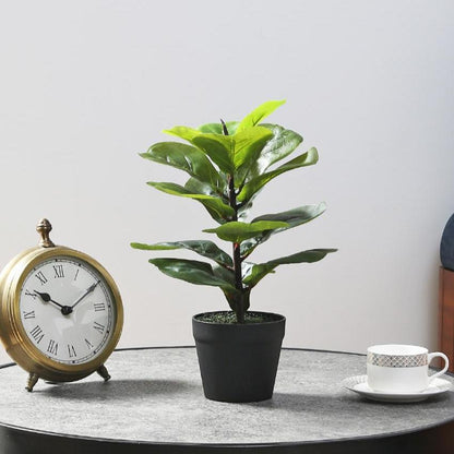 Fiddle Leaf Artificial Bonsai Plant with Plastic Pot | 15 inches