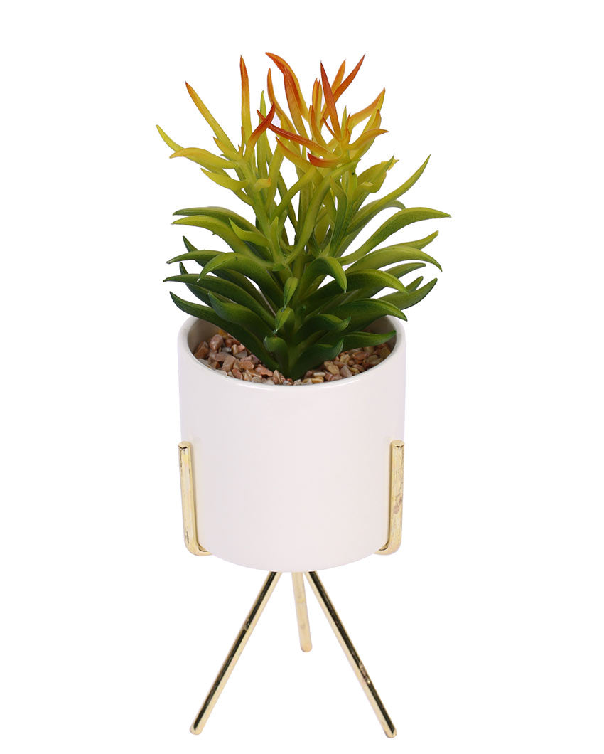 Glamour Succulents Artificial Plant with Ceramic Pot & Metal Tripod Stand | 10 inches