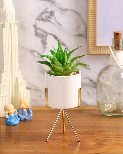 Downtown Succulents Artificial Plant with Ceramic Pot & Metal Tripod Stand | 10 inches