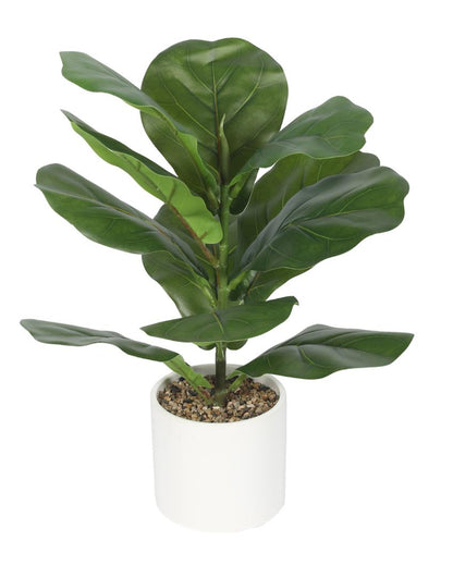 Posh Fiddle Leaf Fig Bonsai Artificial Plant with Ceramic Pot | 1 ft