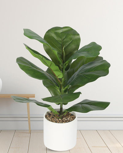 Posh Fiddle Leaf Fig Bonsai Artificial Plant with Ceramic Pot | 1 ft