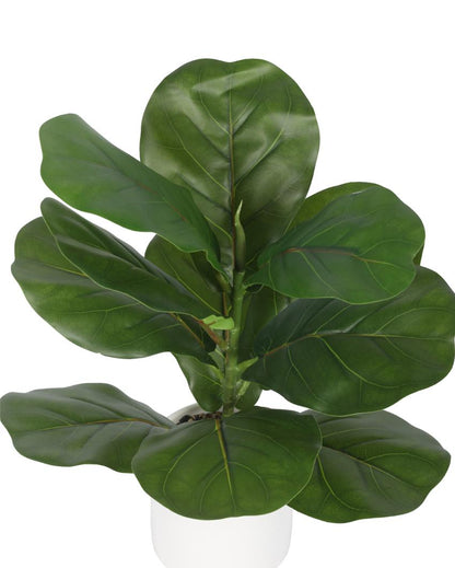 Posh Fiddle Leaf Fig Bonsai Artificial Plant with Ceramic Pot | 1 ft