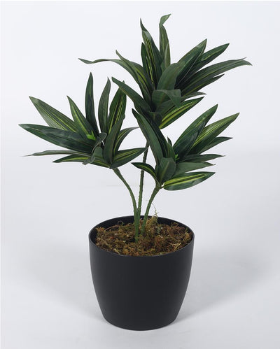 Dracaena Artificial Plant with Black Pot | 1 ft