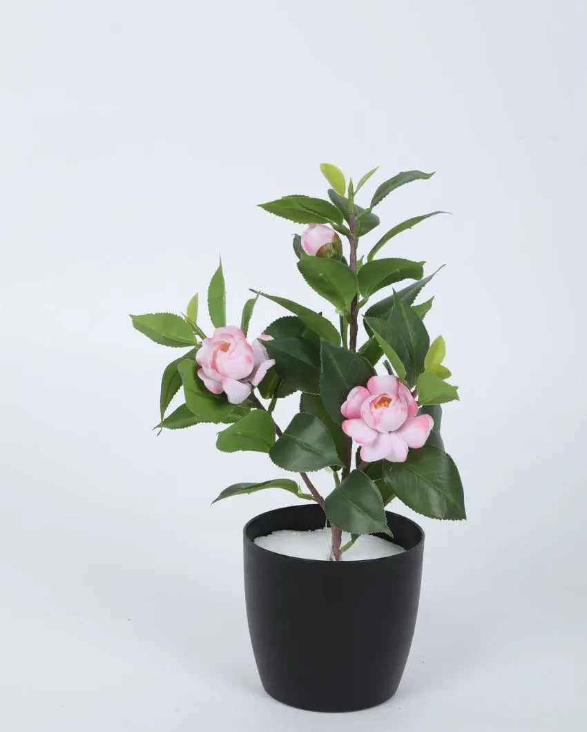 Artificial Camelia Rose Flower Plant With Black Pot | 13 Inches Pink