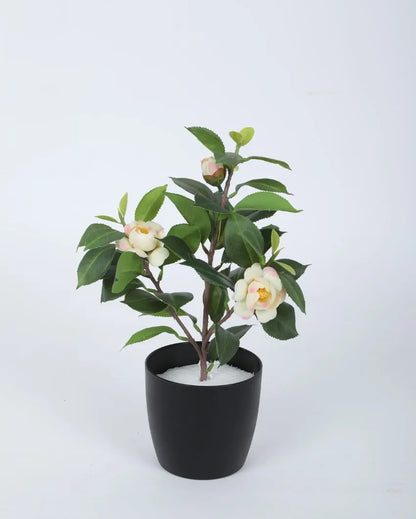 Artificial Camelia Rose Flower Plant With Black Pot | 13 Inches Off White