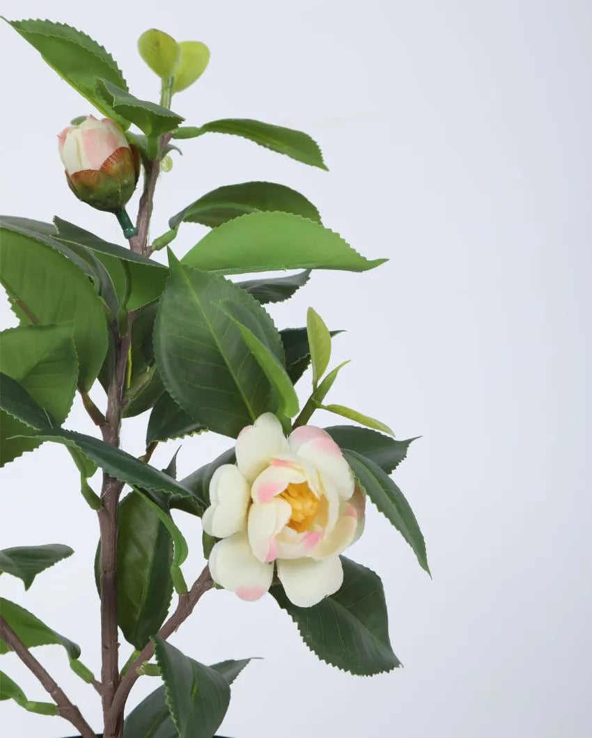 Artificial Camelia Rose Flower Plant With Black Pot | 13 Inches Off White