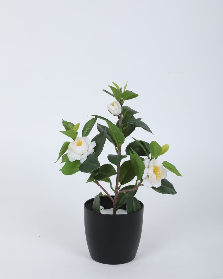 Artificial Camelia Rose Flower Plant With Black Pot | 13 Inches White