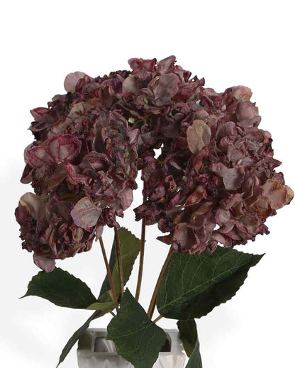 Beautiful Artificial Hydrangea Flower Plastic Bunches | Set Of 5 ( Image not Given ) Brown