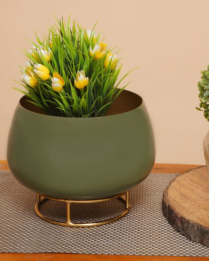 Olive Enamel Metal Planter with Gold Stand