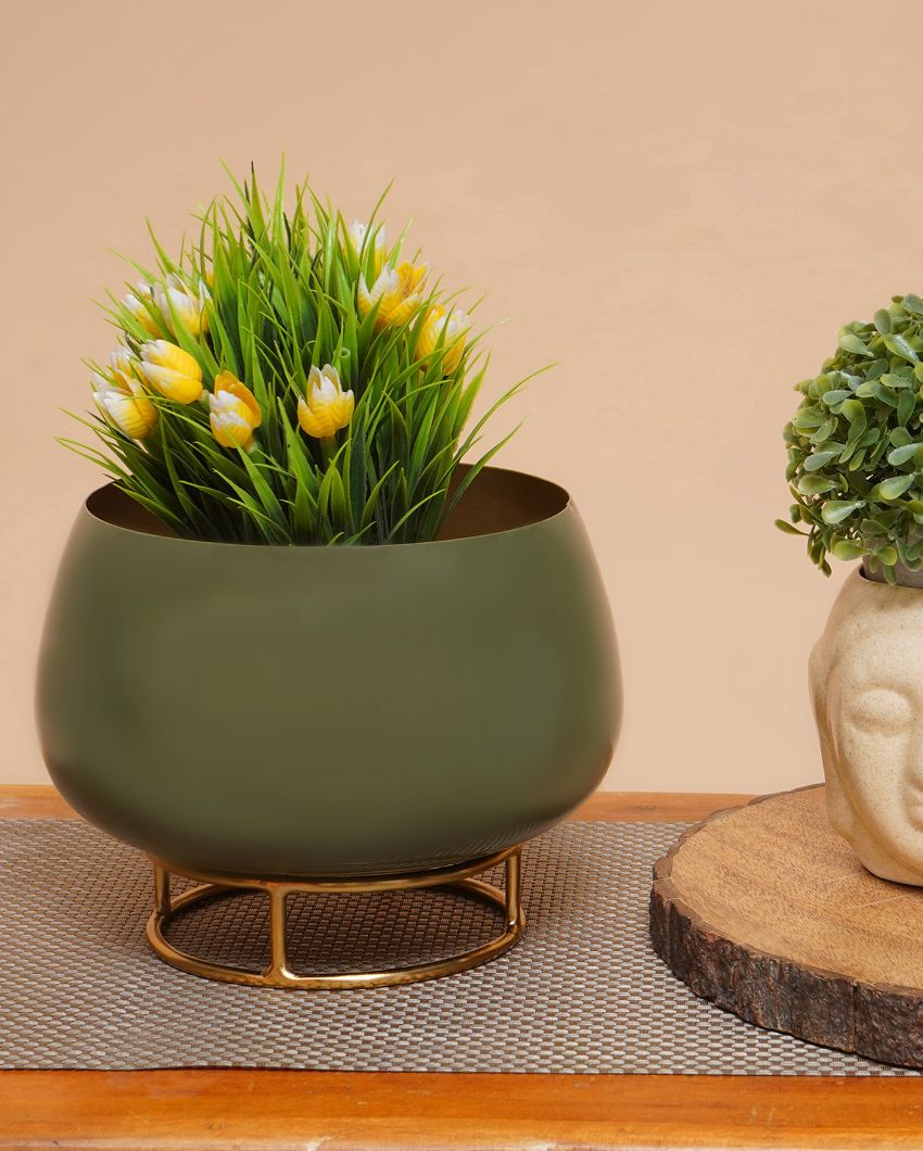 Olive Enamel Metal Planter with Gold Stand