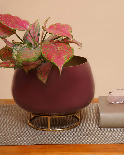 Plum Enamel Metal Planter with Gold Stand