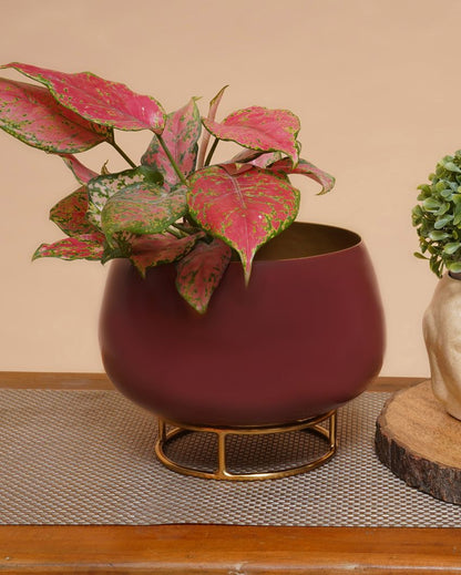 Plum Enamel Metal Planter with Gold Stand