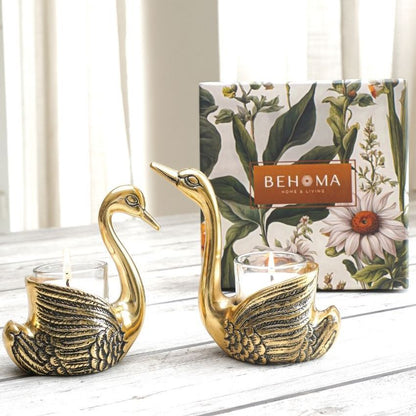 Beautiful Golden Shade Metal Swan Gift Set | Pack of 5